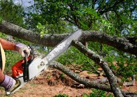Best Aeration Services  in Von Ormy, TX